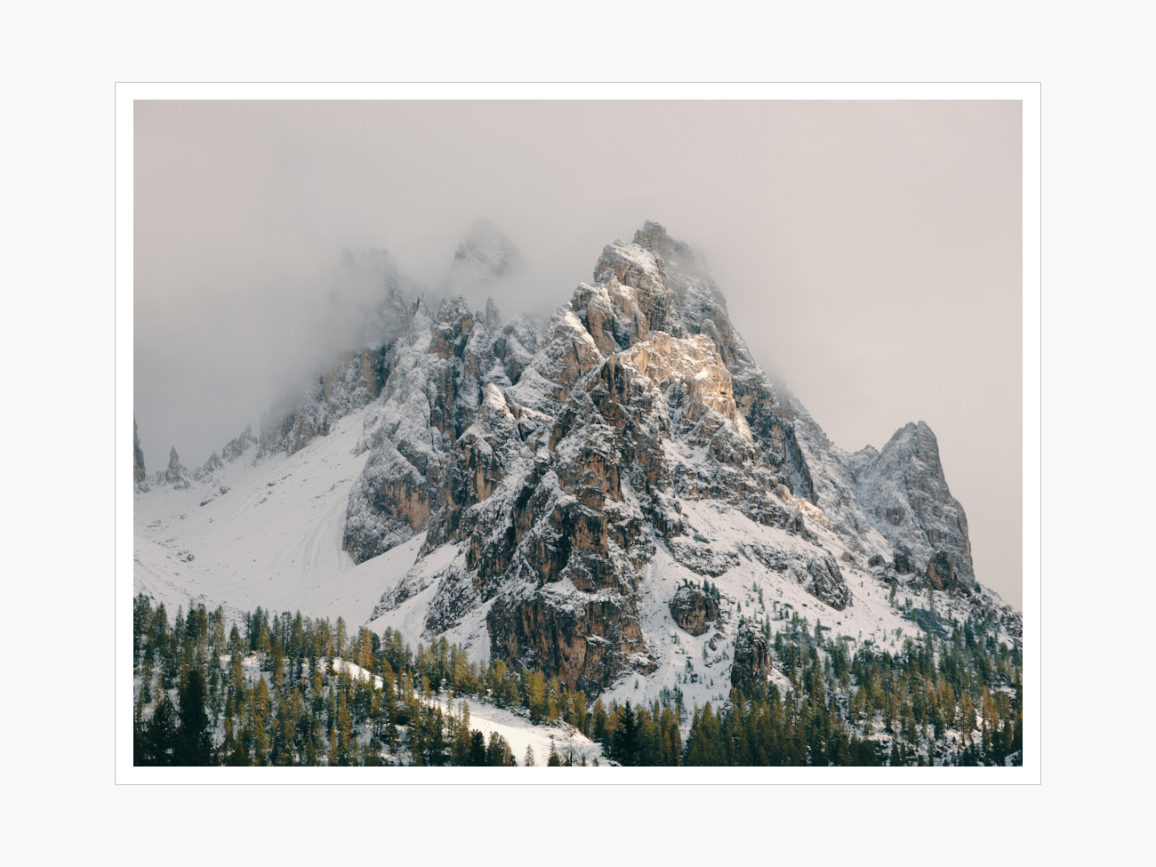 Max Schiefele Alle Bilder  DSF2328